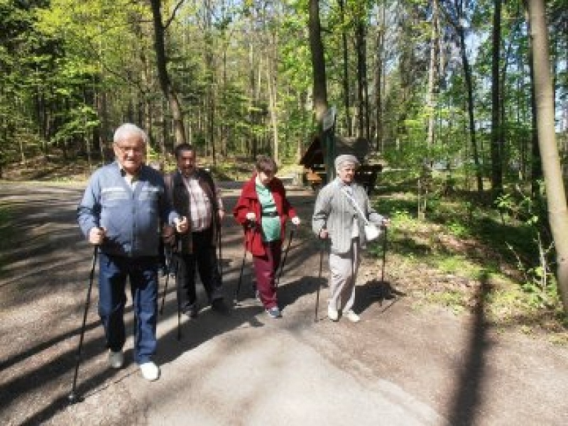 foto:  WYCIECZKA DO CYGAŃSKIEGO LASU